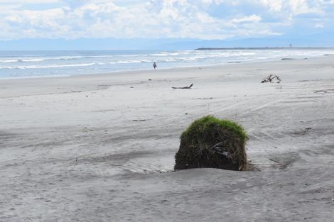 Photo of property in 11 Elley Drive, Carters Beach, Westport, 7825