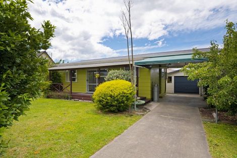 Photo of property in 3 Brian Bary Street, Redwoodtown, Blenheim, 7201