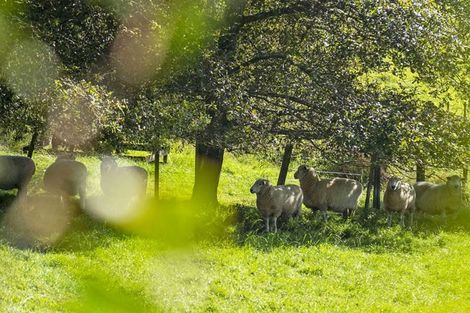 Photo of property in 91 Travers Road, Te Kauwhata, 3782