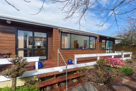 Photo of property in 19a Miller Street, Point Chevalier, Auckland, 1022