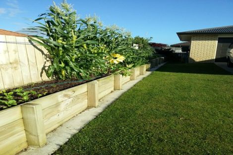 Photo of property in 14 Vogel Place, Te Aroha, 3320