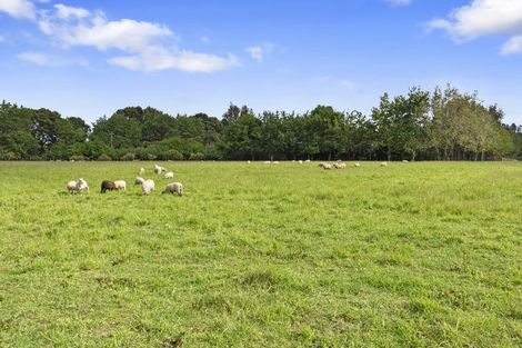 Photo of property in 37 Sunnyside Road, Coatesville, 0793