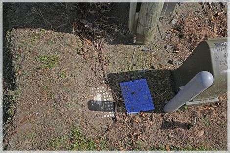 Photo of property in 3 Carex Grove, Foxton Beach, Foxton, 4815