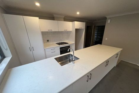 Photo of property in 6 Brindle Way, Newlands, Wellington, 6037