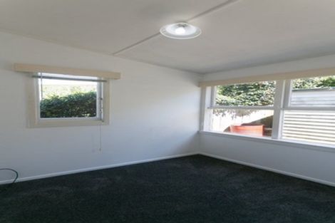 Photo of property in 17 Karetu Road, Greenlane, Auckland, 1051