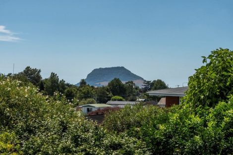 Photo of property in 25 Linklater Avenue, Bellevue, Tauranga, 3110