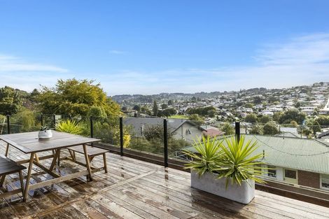 Photo of property in 27 Tyne Street, Roslyn, Dunedin, 9010