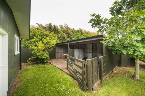 Photo of property in 273 Parewanui Road, Bulls, 4894