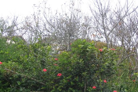 Photo of property in 14 Bay View Road, Cable Bay, 0420