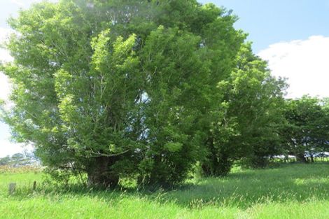 Photo of property in 605 Whakapirau Road, Whakapirau, Maungaturoto, 0583