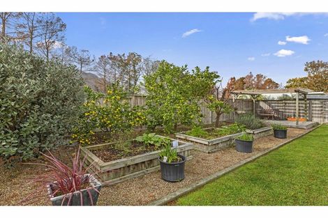 Photo of property in 56 Ritchie Street, Te Aroha, 3320