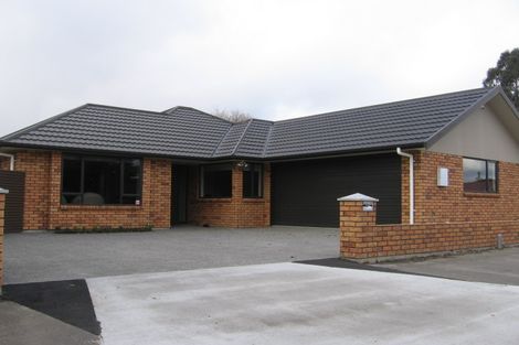 Photo of property in 17 Ward Street, Palmerston North, 4410