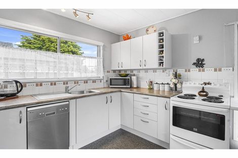 Photo of property in 1b Karaka Street, Matamata, 3400