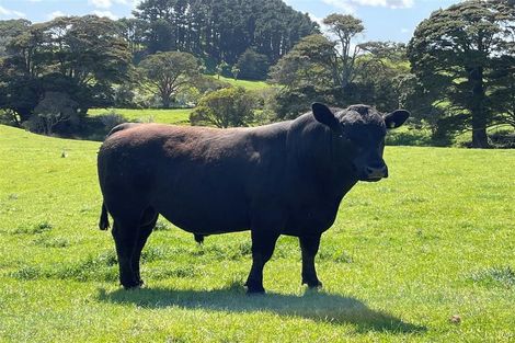 Photo of property in 899 Te Akau Road, Te Akau, Ngaruawahia, 3793
