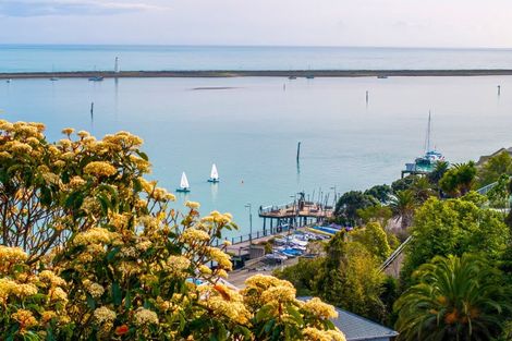 Photo of property in 1e Fifeshire Crescent, Stepneyville, Nelson, 7010