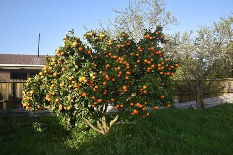 Photo of property in 19b Snell Street, Morrinsville, 3300