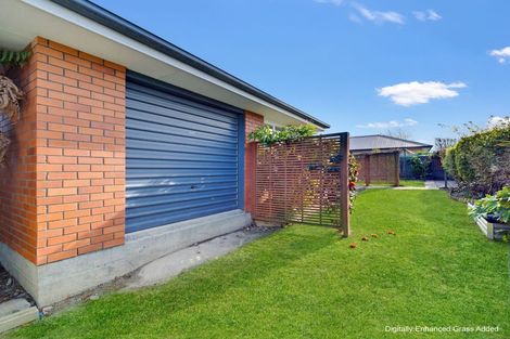 Photo of property in 37a Eton Street, Hampstead, Ashburton, 7700
