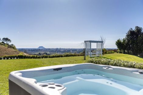Photo of property in 79d Crawford Road, Minden, Tauranga, 3171