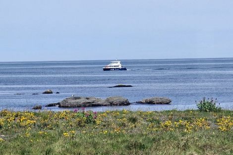 Photo of property in 41 South Bay Parade, South Bay, Kaikoura, 7300