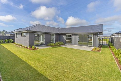 Photo of property in 17 Mcquillan Avenue, Woodend, 7610