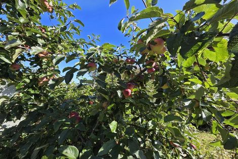 Photo of property in 12 Halsey Street, Clinton, 9534