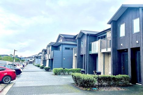 Photo of property in 14 Ti Kouka Lane, Sandringham, Auckland, 1025