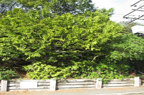 Photo of property in 178 Evans Street, Opoho, Dunedin, 9010