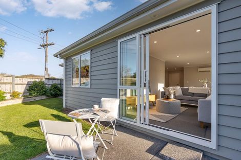 Photo of property in 23 John Mcdonald Mews, Masterton, 5810