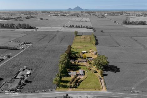 Photo of property in 109 Te Rahu Road, Poroporo, Whakatane, 3193