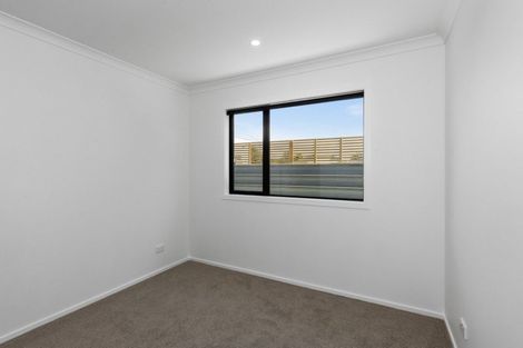 Photo of property in 913a Rimu Street, Mahora, Hastings, 4120