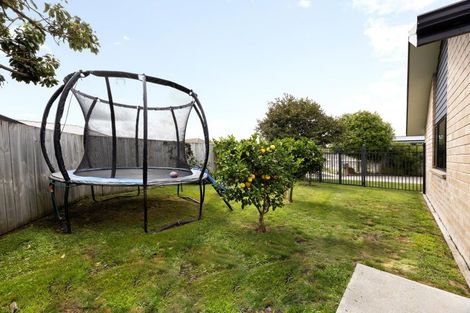 Photo of property in 7 Tennille Street, Flagstaff, Hamilton, 3210