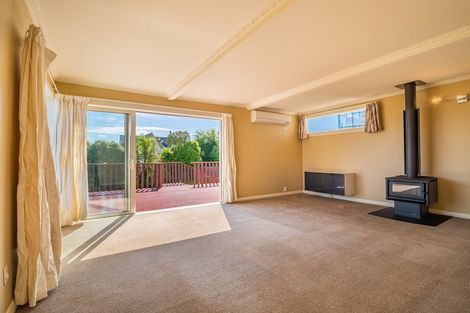 Photo of property in 141 Jeffery Street, Andersons Bay, Dunedin, 9013