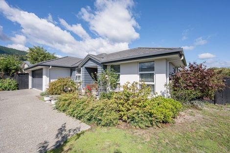 Photo of property in 58 Fairose Drive, Richmond, 7020