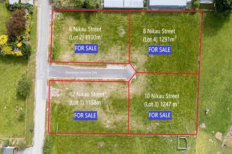 Photo of property in 6 Nikau Street, Pleasant Point, 7903