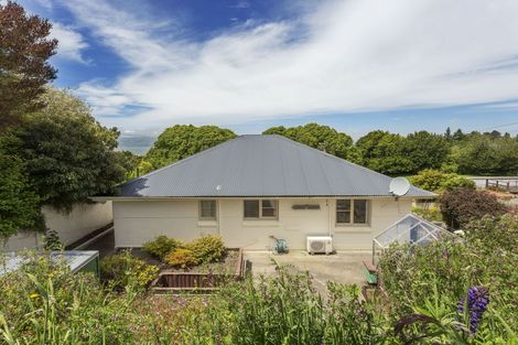 Photo of property in 19 Harcourt Street, Belleknowes, Dunedin, 9011