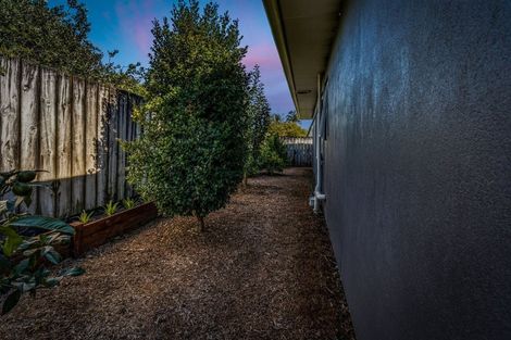 Photo of property in 8b Rathgar Road, Henderson, Auckland, 0610