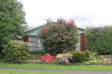 Photo of property in 26 Te Hono Street, Maungatapu, Tauranga, 3112
