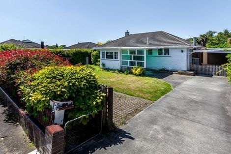 Photo of property in 3 Leicester Street, Terrace End, Palmerston North, 4410