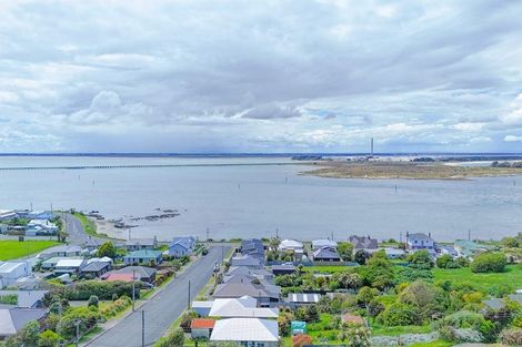 Photo of property in 46 Walker Street, Bluff, 9814