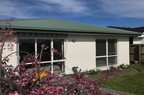 Photo of property in 41b Vivian Street, Burwood, Christchurch, 8083