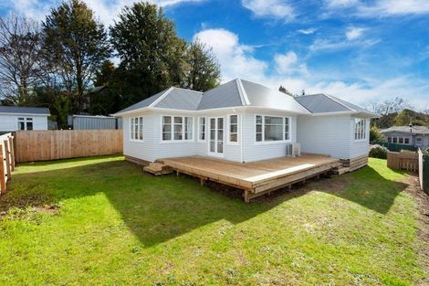 Photo of property in 100c Tirau Street, Putaruru, 3411