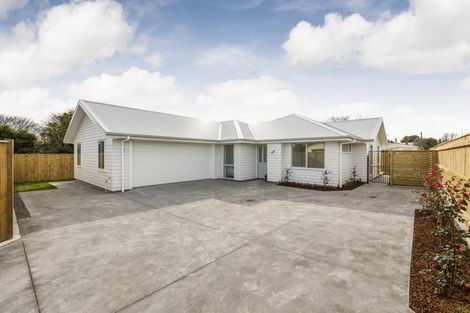 Photo of property in 200a South Street, Feilding, 4702