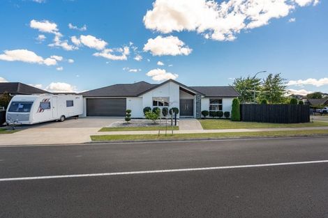 Photo of property in 43 Batten Drive, Flagstaff, Hamilton, 3210