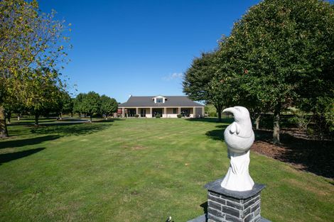 Photo of property in 18 Everad Avenue, Matamata, 3472