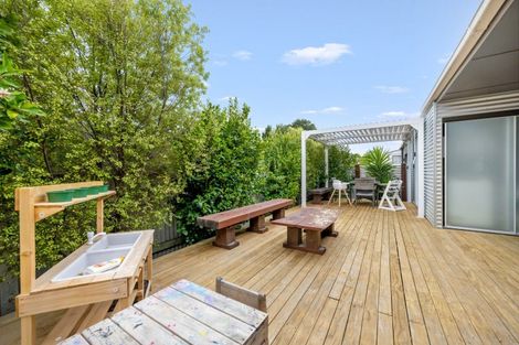 Photo of property in 52a Dillon Street, Blenheim, 7201