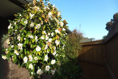 Photo of property in 1/104 Rugby Street, Merivale, Christchurch, 8014