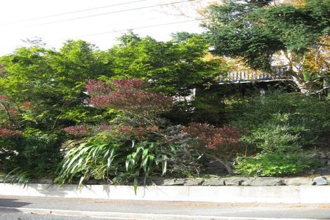 Photo of property in 180 Evans Street, Opoho, Dunedin, 9010