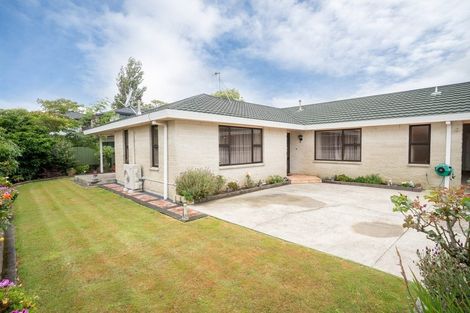 Photo of property in 100 Monrad Street, Highbury, Palmerston North, 4412
