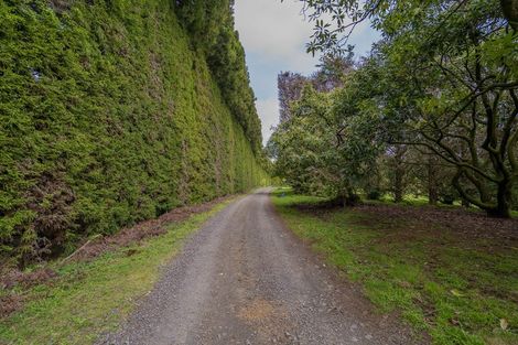 Photo of property in 899f Purangi Road, Cooks Beach, Whitianga, 3591