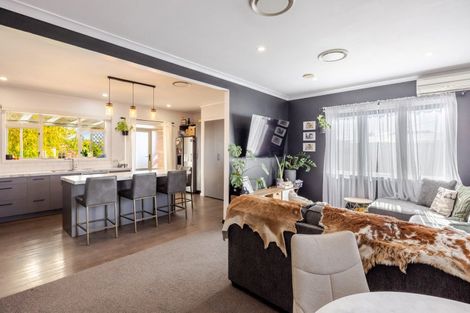 Photo of property in 38 Racecourse Road, Waipukurau, 4200